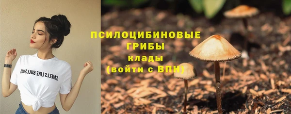 скорость Пестово