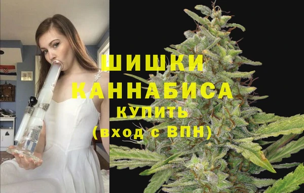 не бодяженный Белокуриха